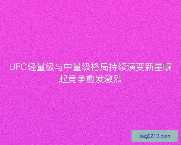 UFC轻量级与中量级格局持续演变新星崛起竞争愈发激烈